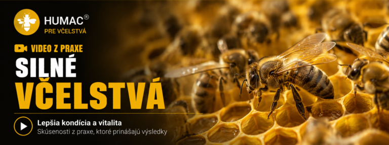 Read more about the article Včelár MVDr. Marián Kostecký | Vplyv HUMACu® na jarný rozvoj včiel