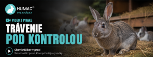 Read more about the article Chovateľ Peter Žuffa | Problémy s trávením u králikov? Riešením je HUMAC! 