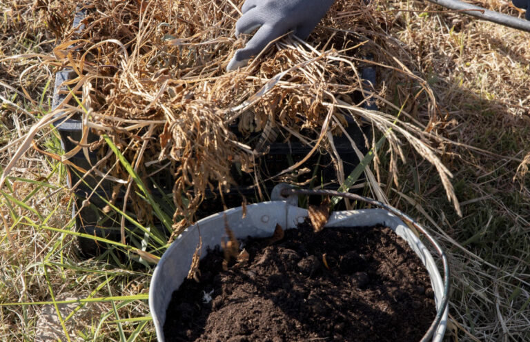 Read more about the article Zlepšite svoju zimnú prípravu pôdy pomocou HUMAC® Agro: Pestovanie plodín pre kvitnúcu jarnú úrodu